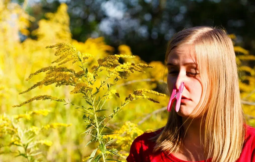 Seasonal Allergies Can Affect Your Oral Health
